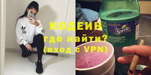 индика Сатка