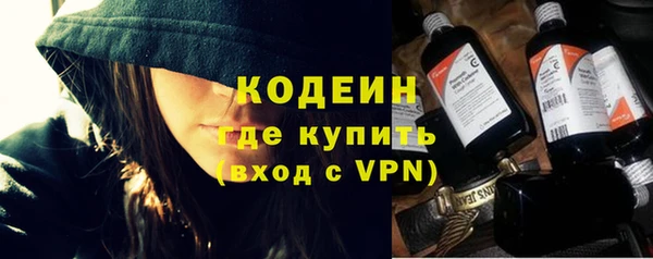 индика Сатка