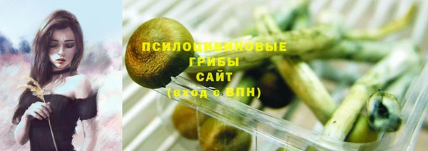 дурь Губаха