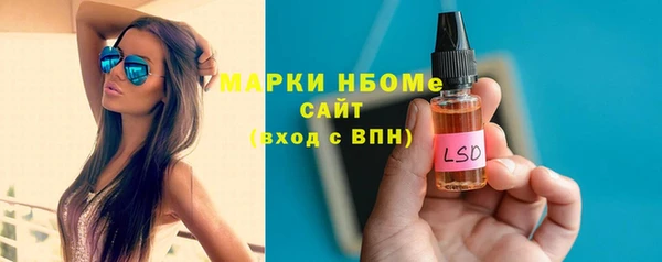индика Сатка