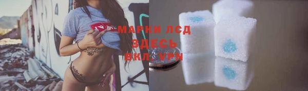 индика Сатка