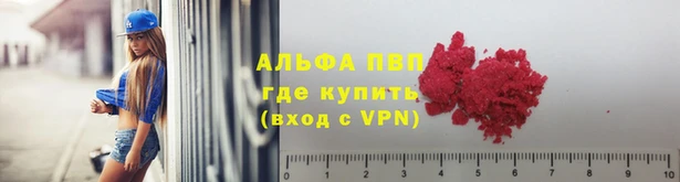 спайс Алзамай