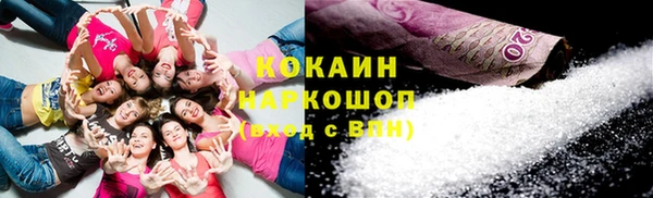 индика Сатка